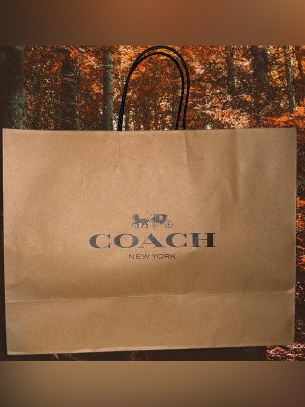 Large Coach Shopping Bag with Tissue Paper Like New - Picture 2 of 5